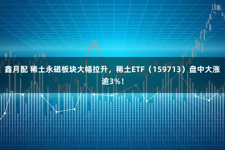 鑫月配 稀土永磁板块大幅拉升，稀土ETF（159713）盘中大涨逾3%！
