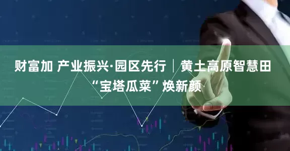 财富加 产业振兴·园区先行│黄土高原智慧田 “宝塔瓜菜”焕新颜