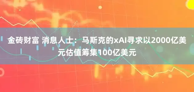 金砖财富 消息人士：马斯克的xAI寻求以2000亿美元估值筹集100亿美元