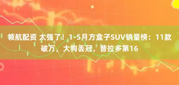 领航配资 太强了！1-5月方盒子SUV销量榜：11款破万，大狗丢冠，普拉多第16